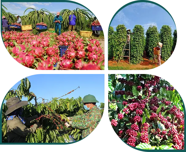 VỀ CHÚNG TÔI Logo